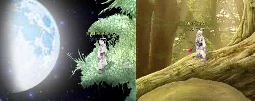 网络歌手晓月 【精美音画】《没有你的日子》 歌手：晓月