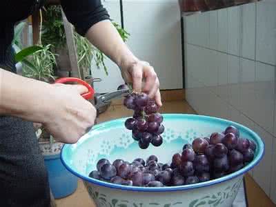 跟我学做纸艺花 跟我学做葡萄酒