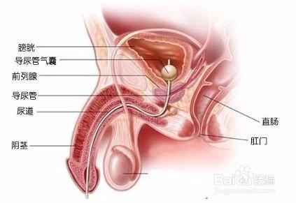 造成不射精的原因 不射精怎么造成的 主要原因有哪些