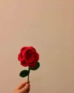 可爱多手工编织钩针 手工编织钩针玫瑰花