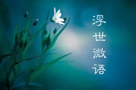 浮世风情绘国语下载 岁月沧桑景，浮世微语情