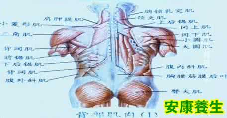 腰椎劳损和腰肌劳损 腰疼一年多以为是腰肌劳损 考研患上腰椎结核