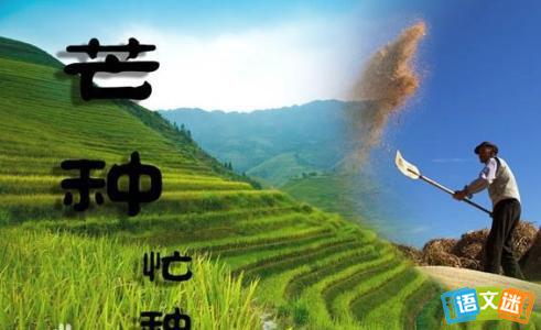 立夏节气 芒种节气严防“夏打盹” 养生防病五要诀