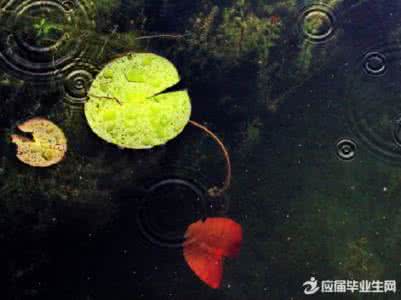 秋雨中赠元九 秋雨中,洒落的相思