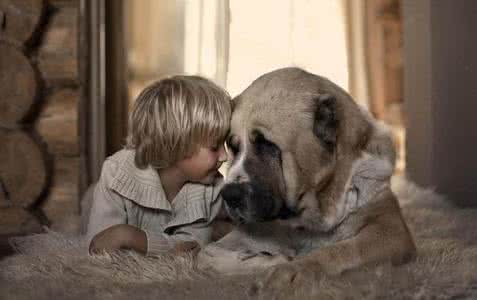 动物也是我的老师作文 母亲是孩子的第一个老师，在动物中也是这样