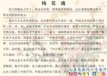 梅花魂教学设计 梅花魂教学设计 《梅花魂》教案(多份)_梅花魂教学设计