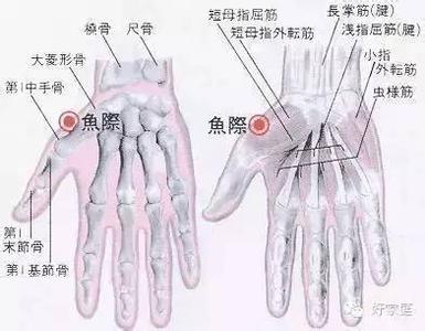 踝关节损伤中医院 中医如何治疗失眠，关爱心脏,从多转踝关节开始