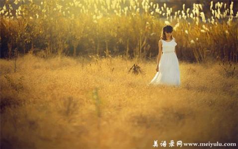 温暖心灵的情感美文 秋意（情感美文）