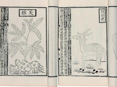 格致余论 古代《格致余论》