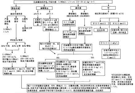 糖尿病酮症治疗原则 糖尿病酮症治疗原则 DKA治疗原则