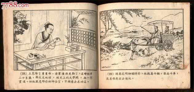 儒林外史读书笔记 关于《儒林外史》的读书笔记