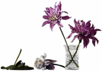 刹那芳华 刹那芳华，一世美丽