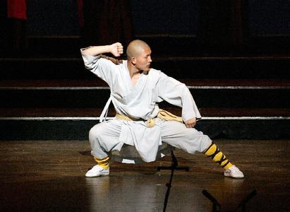 少林拳法十八式 少林拳