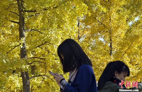 秋天的味道 秋天的味道 这味道是“秋天第一味”!喜欢吃的人赚8大好处