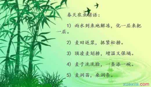 农业谚语 实用农业谚语