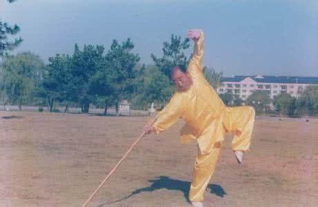 牛郎棍十字鞭教学 牛郎棍(田字鞭)一.二路教学视频