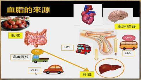 血管动脉粥样硬化 养生堂20140309视频,你的血管堵车了吗,动脉粥样硬化,心梗,脑梗