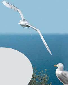 陆海空 仿生无人平台:陆海空谁领风骚?