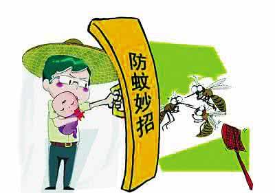 夏季灭蚊子妙招 蚊子多怎么办有何妙招？教你夏季绿色驱蚊小窍门