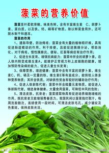 吃土豆有什么营养价值 菠菜有什么营养价值