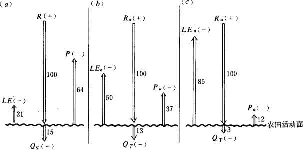 基本农田划定平衡表 农田热量平衡