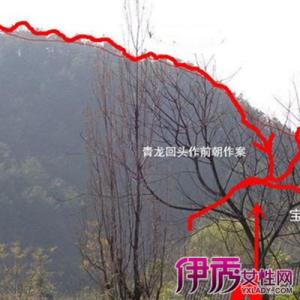 祖坟风水不好的现象 盘点祖坟风水不好的现象都有哪些