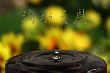 记住别人的滴水之恩 请记住别人的“滴水之恩”