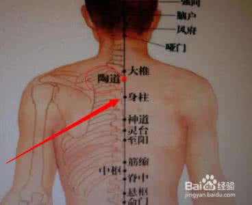 补气壮阳 身柱穴位 补气壮阳、益智健脑、治疗感冒咳嗽、气喘等