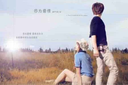 三个人一桌多两个人 爱情感悟短句 爱情的路上，两个人就好，三个人 太多