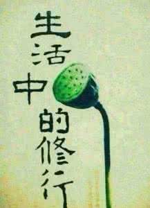 五十岁以后最好的活法 ? 适合自己的活法，就是最好的活法！