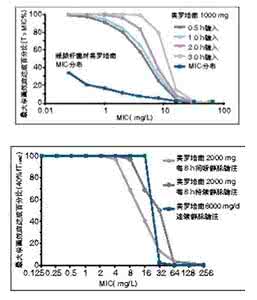 多重耐药鲍曼不动杆菌 鲍曼不动杆菌碳青霉烯酶耐药基因分析及同源性研究