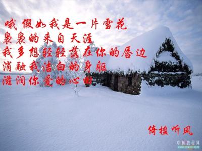 你那里下雪了吗 ◥◣╭☆╯ 你那里下雪了吗？╰☆╮╱◥◣、【雪月惜颜音画】