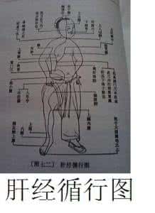 治疗肝硬化的特效秘方 图文:特效药方揭秘之肝硬化秘方