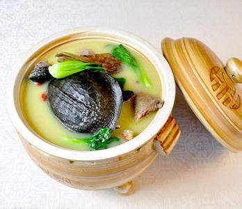 青蒿鳖甲汤禁忌 青蒿鳖甲汤