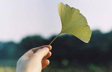 说说心情短语人生哲理 35句人生的经典哲理心情短语