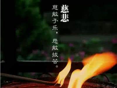 个人成长心路历程感悟 心路：看人，看心！