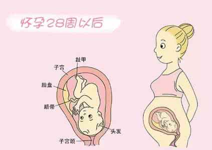 突发状况 英文 待产过程须小心的突发状况