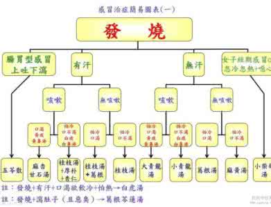 倪海厦治感冒 倪海厦感冒治症图标