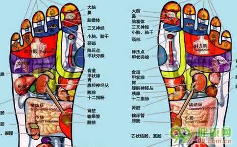 手掌是人的第二个心脏 照顾人体的第二个心脏：脚部
