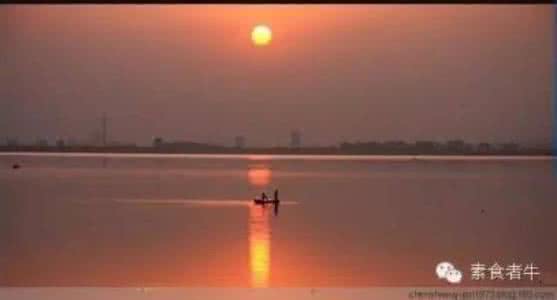 未话寻常草木知 悲欢人生话寻常