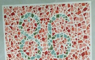 驾校色盲色弱测试全图 色弱可以报驾校吗?