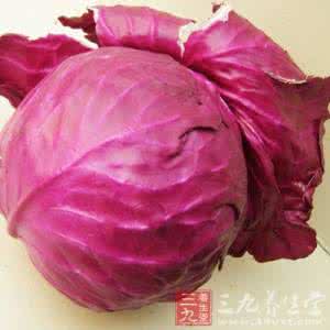 甘蓝菜的营养价值 甘蓝菜的营养价值 甘蓝菜的做法和功效
