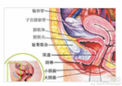 慢性外阴炎的治疗方法 外阴炎症状治疗 外阴炎的症状与治疗方法