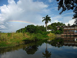 苏里南为什么说客家话 苏里南