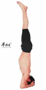 瑜伽体式头倒立 健脑瑜伽体式——半头倒立式