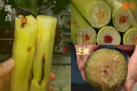 清明前后吃什么 清明前后千万别吃这种水果