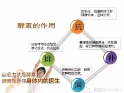 酵素与心脑血管疾病 酵素惊人的治疗效力之六---心脑血管