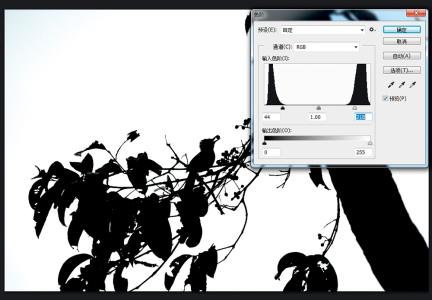 尼康观鸟镜 尼康D4s带你走进反季节观鸟指南