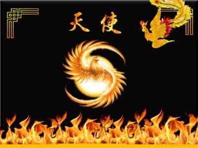 凤凰涅盘是什么意思 凤凰涅盘 凤凰涅盘是什么意思