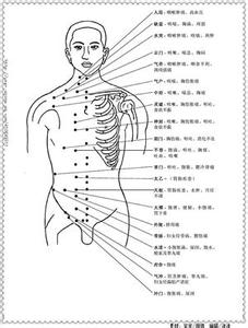 人体穴位与疾病 人体百个穴位位置及主治疾病大全